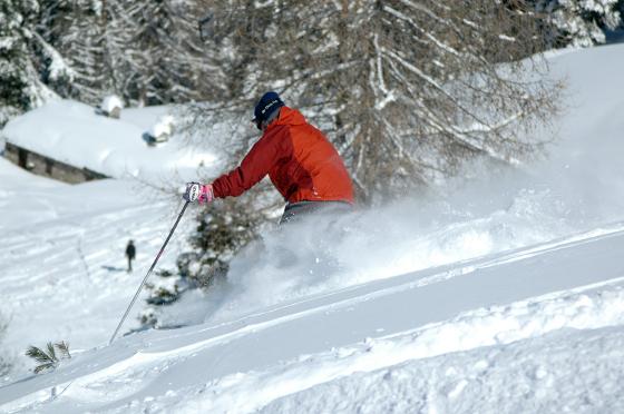 En pärla i Alperna offpist i Val Cenis Haut Mauriennedalen skisafari,offpistkurser,skog,puder-älskares favorit,skogsåkning alperna i val cenis,snösäkert i alperna val cenis mycket offpist fina pister,val cenis stor fallhöjd snösäkert pudermecka,skidresor alperna för alla,snösäkra skidresor alperna,skidresor alperna för barn familj,snösäker påsk i alperna,billig påskresa alperna,billig påskerejse alperne,snesikker påske i alperne,skidresa  alperna utan kabinlift,alperna utan kabinlift,3000 m högt utan kabinlift,skidort  UTAN kabinlift,skidresor alperna UTAN kabinlift